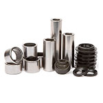 PIVOT WORKS LINKAGE BEARING REBUILD KIT