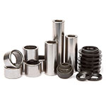 PIVOT WORKS LINKAGE BEARING REBUILD KIT