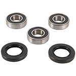 PIVOT WORKS WHEEL BEARING KIT