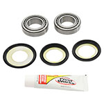 PIVOT WORKS STEERING STEM BEARING KIT