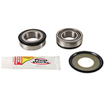 PIVOT WORKS STEERING STEM BEARING KIT