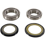 PIVOT WORKS STEERING STEM BEARING KIT