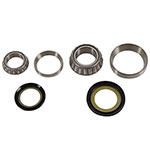 PIVOT WORKS STEERING STEM BEARING KIT