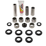 PIVOT WORKS LINKAGE BEARING REBUILD KIT
