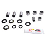 PIVOT WORKS LINKAGE BEARING REBUILD KIT