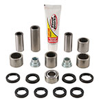 PIVOT WORKS LINKAGE BEARING REBUILD KIT