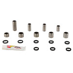 PIVOT WORKS LINKAGE BEARING REBUILD KIT