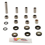 PIVOT WORKS LINKAGE BEARING REBUILD KIT
