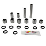 PIVOT WORKS LINKAGE BEARING REBUILD KIT