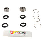 PIVOT WORKS SHOCK BEARING KIT