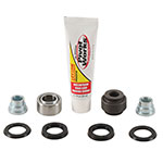 PIVOT WORKS SHOCK BEARING KIT