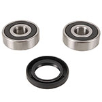 PIVOT WORKS WHEEL BEARING KIT
