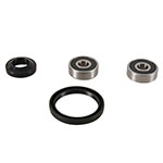 PIVOT WORKS WHEEL BEARING KIT