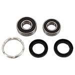 PIVOT WORKS WHEEL BEARING KIT
