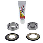 PIVOT WORKS STEERING STEM BEARING KIT