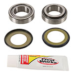 PIVOT WORKS STEERING STEM BEARING KIT