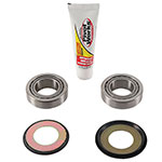 PIVOT WORKS STEERING STEM BEARING KIT
