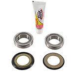 PIVOT WORKS STEERING STEM BEARING KIT