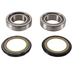 PIVOT WORKS STEERING STEM BEARING KIT