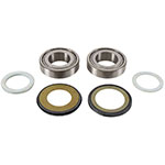 PIVOT WORKS STEERING STEM BEARING KIT