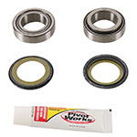 PIVOT WORKS STEERING STEM BEARING KIT