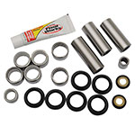 PIVOT WORKS LINKAGE BEARING REBUILD KIT