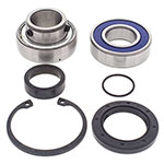 ALL BALLS CHAIN CASE BEARING & SEAL KIT