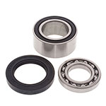 ALL BALLS CHAIN CASE BEARING & SEAL KIT