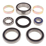 ALL BALLS CHAIN CASE BEARING & SEAL KIT