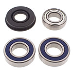 ALL BALLS CHAIN CASE BEARING & SEAL KIT