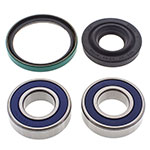 ALL BALLS CHAIN CASE BEARING & SEAL KIT