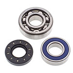 ALL BALLS CHAIN CASE BEARING & SEAL KIT