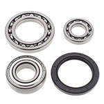 ALL BALLS CHAIN CASE BEARING & SEAL KIT
