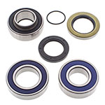 ALL BALLS CHAIN CASE BEARING & SEAL KIT