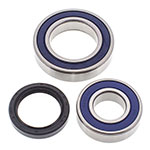 ALL BALLS CHAIN CASE BEARING & SEAL KIT