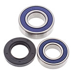 ALL BALLS CHAIN CASE BEARING & SEAL KIT