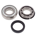 ALL BALLS CHAIN CASE BEARING & SEAL KIT