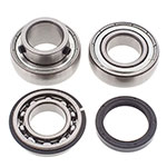 ALL BALLS CHAIN CASE BEARING & SEAL KIT