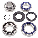 ALL BALLS CHAIN CASE BEARING & SEAL KIT