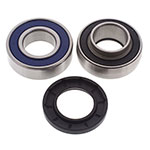 ALL BALLS CHAIN CASE BEARING & SEAL KIT