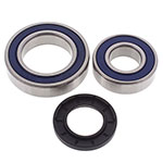 ALL BALLS CHAIN CASE BEARING & SEAL KIT