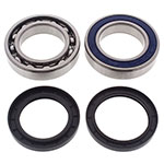 ALL BALLS CHAIN CASE BEARING & SEAL KIT