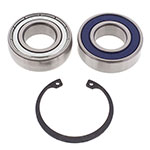 ALL BALLS CHAIN CASE BEARING & SEAL KIT
