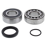 ALL BALLS CHAIN CASE BEARING & SEAL KIT