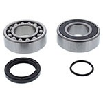 ALL BALLS CHAIN CASE BEARING & SEAL KIT