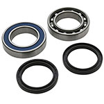 ALL BALLS CHAIN CASE BEARING & SEAL KIT