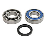 ALL BALLS CHAIN CASE BEARING & SEAL KIT