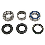 ALL BALLS CHAIN CASE BEARING & SEAL KIT