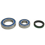 ALL BALLS CHAIN CASE BEARING & SEAL KIT