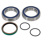 ALL BALLS CHAIN CASE BEARING & SEAL KIT
